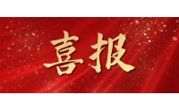 喜報!仙鶴控股集團榮獲衢州市長特別獎-社會貢獻獎一等獎——旗下哲豐新材料和夏王紙業總經理也雙雙獲獎